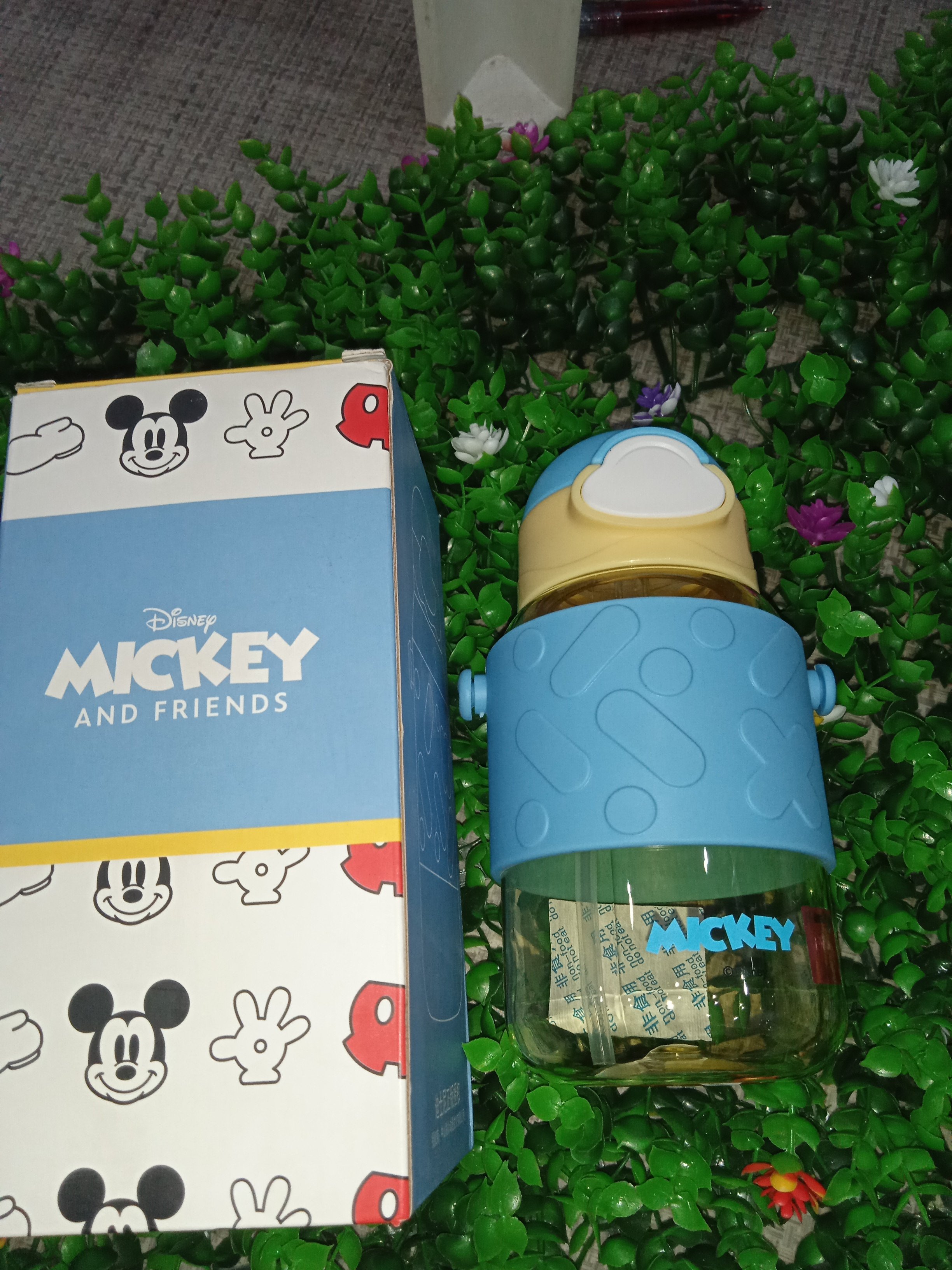 Gourde incassable Mickey 